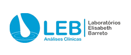 Leb Análises